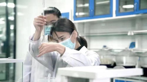 专访「生生不息」 当宠物食品遇上非商业思维，一场关于爱与责任的奔赴